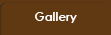 gallery tab